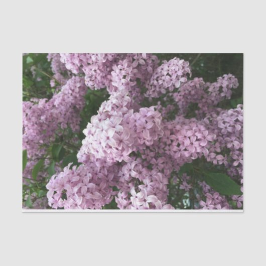 Mousseline Papier de tissus à fleurs Lilac (Recto)