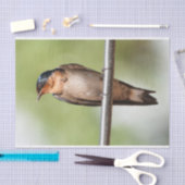 Mousseline Papier de tissus avec image d'avale (Artisanat)