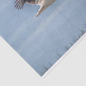 Mousseline Papier de tissus avec image de pélican en vol (Détail)