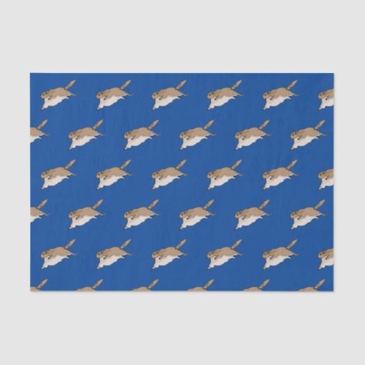 Mousseline Papier de tissus d'écureuil volant (Recto)