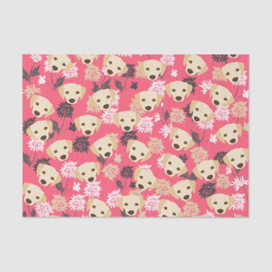 Mousseline Papier de tissus Labrador (Recto)