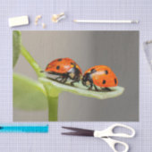 Mousseline Papier de tissus Lady Bugs (Artisanat)