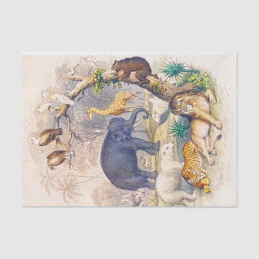 Mousseline Papier de tissus ou de découpage pour animaux Vint (Recto)