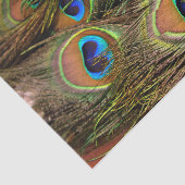 Mousseline Papier de tissus Peacock Feathers (Détail)