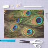 Mousseline Papier de tissus Peacock Feathers (Artisanat)