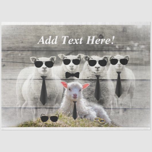 Mousseline Papier de tissus pour agneau pour bébé (Recto)