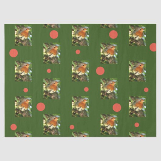 Mousseline Papier de tissus Robin (Recto)