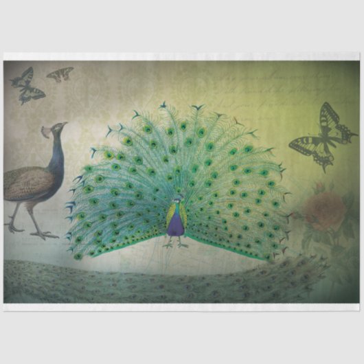 Mousseline Papier Découpage Peacock (Recto)