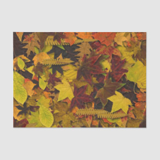 Mousseline Papier d'enveloppement de tissus - Feuilles d'auto