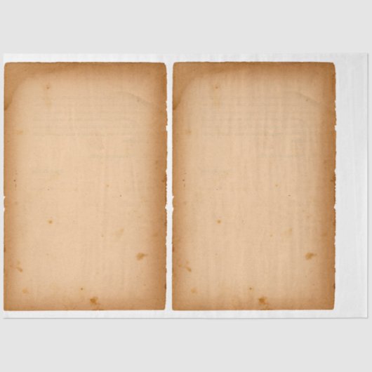 MOUSSELINE PAPIER EN TISSU : DÉCOUPAGE ; PAPIER ANCIEN (Recto)