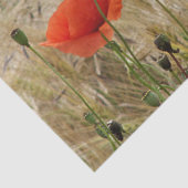 Mousseline papier fleur d'été rouge (Détail)