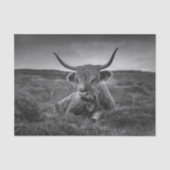 Mousseline Papier mouchoir rustique Vache des Highlands Écoss (Recto)