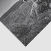 Mousseline Papier mouchoir rustique Vache des Highlands Écoss (Détail)