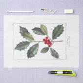 MOUSSELINE PAPIER MOUSSELINE: PIERRE'JOSEPH REDOUTÉ : HOLLY (Artisanat)