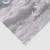 Mousseline papier mousseux en mousse de mer (Détail)