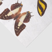 Mousseline Papier papier de découpage de la collection papill (Détail)