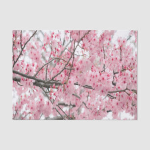 Mousseline Papier papier tissu du festival Hanami Spring