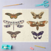 Mousseline Papier papillon papillon papillon découpagePapier  (Artisanat)