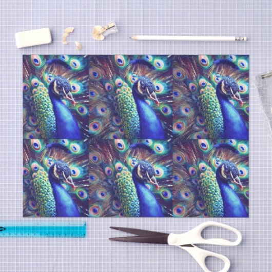 Mousseline Papier Peacock (décopauge) (Artisanat)