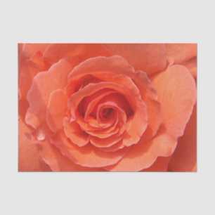 Mousseline Papier rose