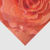 Mousseline Papier rose (Détail)
