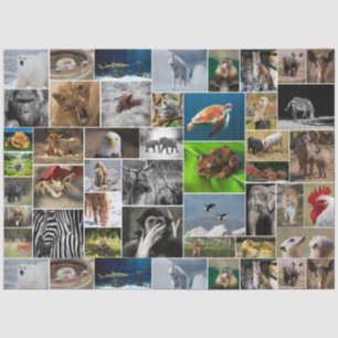 Mousseline Papier sur les tissus animaux sauvages "My Animal 