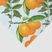 Mousseline Papier Tissu À Oranges Cuites (Détail)