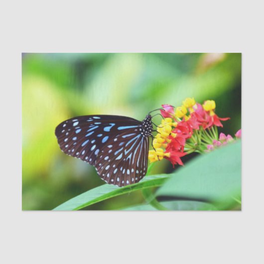 Mousseline Papier Tissu Beurre Et Fleurs (Recto)