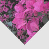 Mousseline Papier Tissu Bougainvillea (Détail)