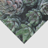 Mousseline Papier Tissu Cactus (Détail)