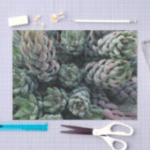 Mousseline Papier Tissu Cactus (Artisanat)