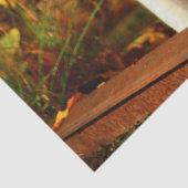 Mousseline papier tissu chat automne (Détail)