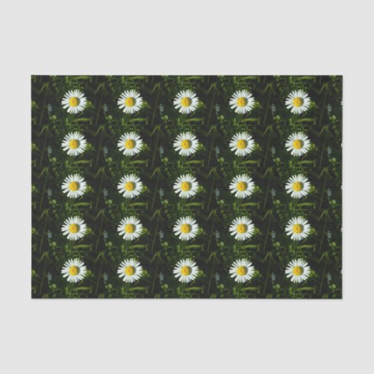 Mousseline Papier Tissu Daisy (Recto)