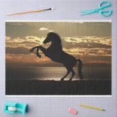 Mousseline papier tissu de cheval de soleil (Artisanat)