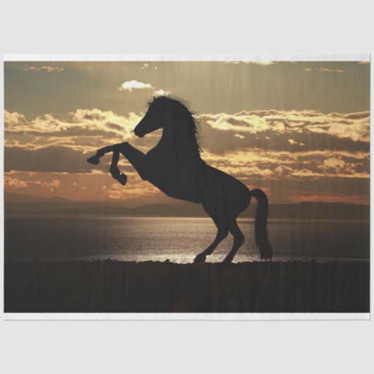 Mousseline papier tissu de cheval de soleil (Recto)