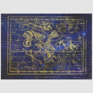 Mousseline papier tissu de constellation delphinique