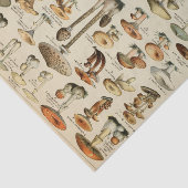 Mousseline Papier Tissu De Découpage De Champignons vintages (Détail)