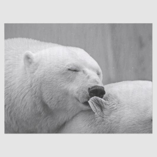 Mousseline papier tissu de l'ours polaire (Recto)