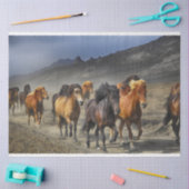 Mousseline papier tissu de piste (Artisanat)