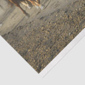 Mousseline papier tissu de piste (Détail)