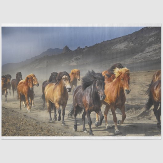 Mousseline papier tissu de piste (Recto)