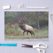 Mousseline Papier Tissu d'Elk (Artisanat)