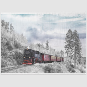 Mousseline papier tissu du train d'hiver