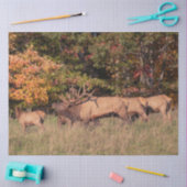 Mousseline Papier Tissu Elk (Artisanat)