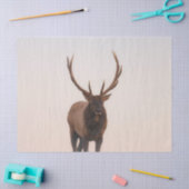 Mousseline Papier Tissu Elk (Artisanat)