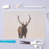 Mousseline Papier Tissu Elk (Artisanat)