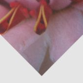 Mousseline Papier Tissu Ginger rose (Détail)