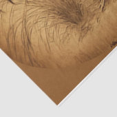 Mousseline Papier Tissu Grungy Rosters (Détail)