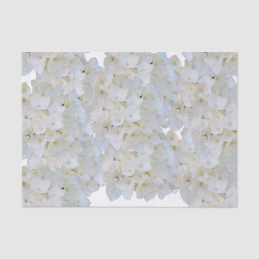 Mousseline Papier Tissu Hydrangeas Blanches (Recto)