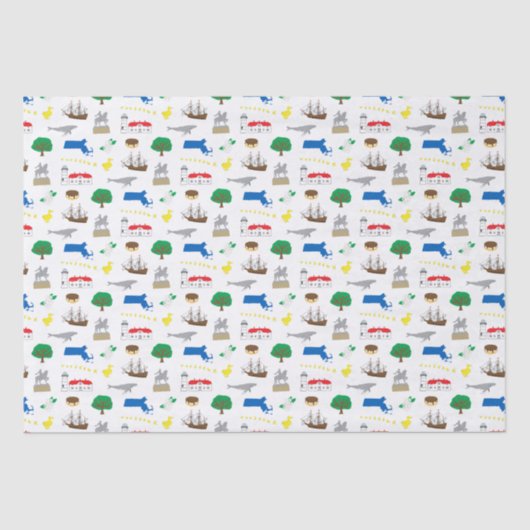 Mousseline Papier Tissu Massachusetts (Recto)